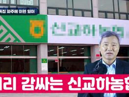 [김순현TV] 특집 파주에 이런 일이 - 비리 감싸는 신교하농협기사 이미지