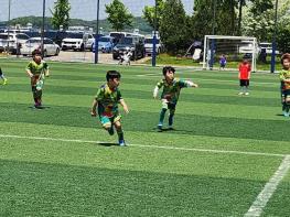 파주 축구의 밝은 미래를 만나다... 제1회 미래스타컵 유소년 축구대회 성료기사 이미지