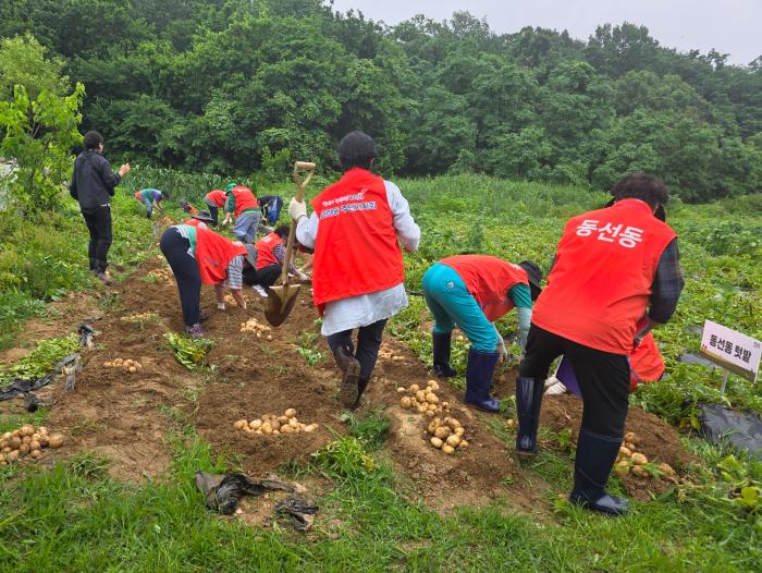 지난 6월 교하동동선동 농촌체험의 일환으로 