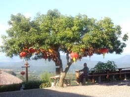 구름이 오는 곳 운라이(雲來) 전망대 기사 이미지