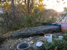 주택가 한복판에 방치된 선사 유적…교하동 빙고재 고인돌 보존 시급 기사 이미지