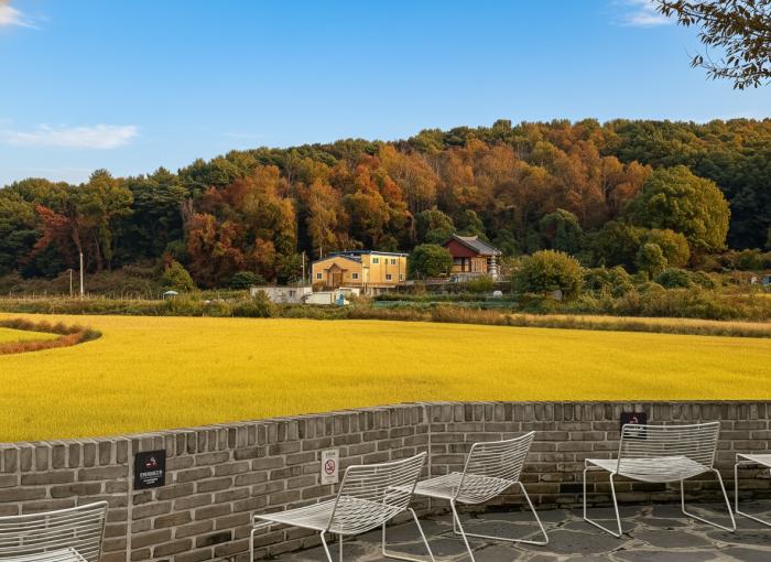 지난 가을 스파에서 내려다보는 심학산과 논뷰 겨울철이 되면 철새 전망대로 변한다 사진 하효종 기자
