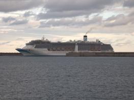 동백이 피어도 돌아오지 못하는 마을! 기사 이미지