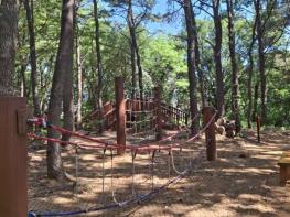 파주시, 2026년 유아숲체험원 프로그램 참여자 모집 기사 이미지