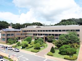 파주시, 2026년 생태계교란 야생식물 제거 지원사업 추진 기사 이미지