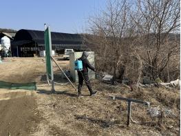 파주시, 축사 주변 해빙기 방역사업 추진 기사 이미지