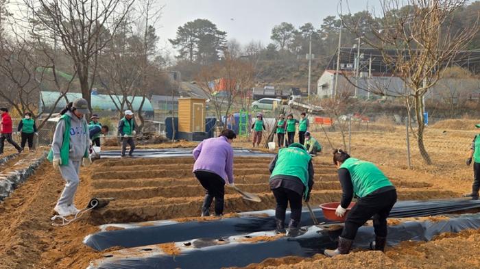 파주 새마을지도자 탄현면 부녀회, 사랑의 감자심기 행사 개최