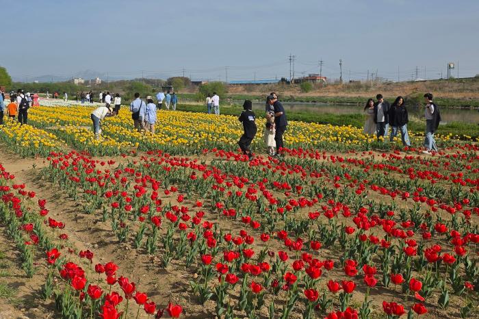 지난 18일 금이마을 축제 사진 하효종 기자