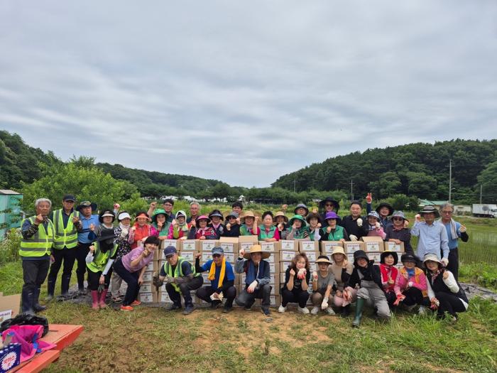 파주시 금촌3동 발전협의회, 취약계층 위한 ‘사랑의 감자 나눔’ 실천