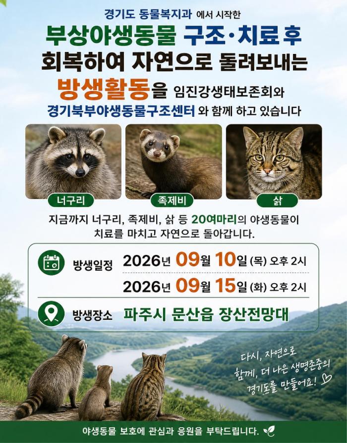 치료 마친 야생동물, 다시 임진강 자연으로... 파주에서 방사 활동